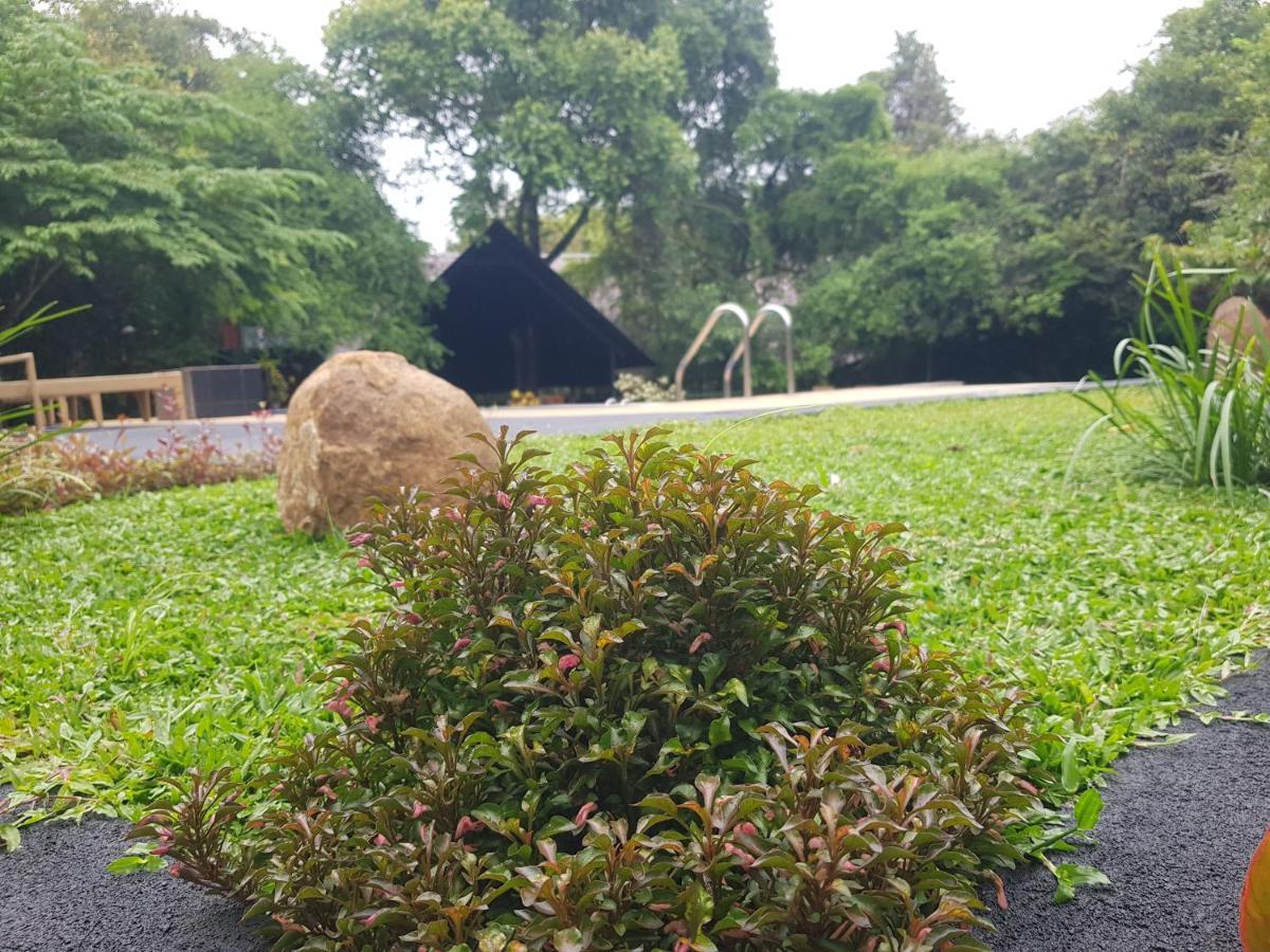 Nice Place Resort Dambulla Exteriör bild